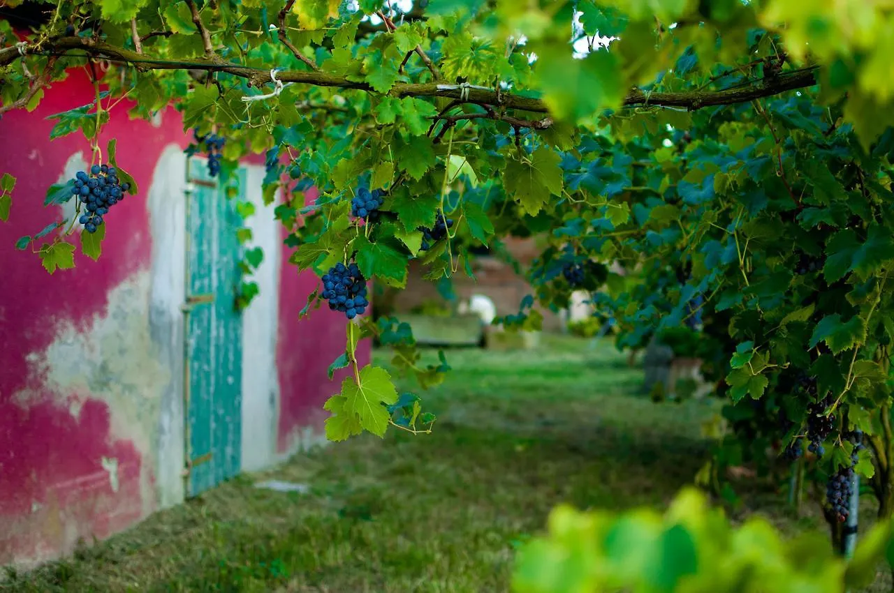 Κατάλυμα σε φάρμα Agriturismo Valle Isola 