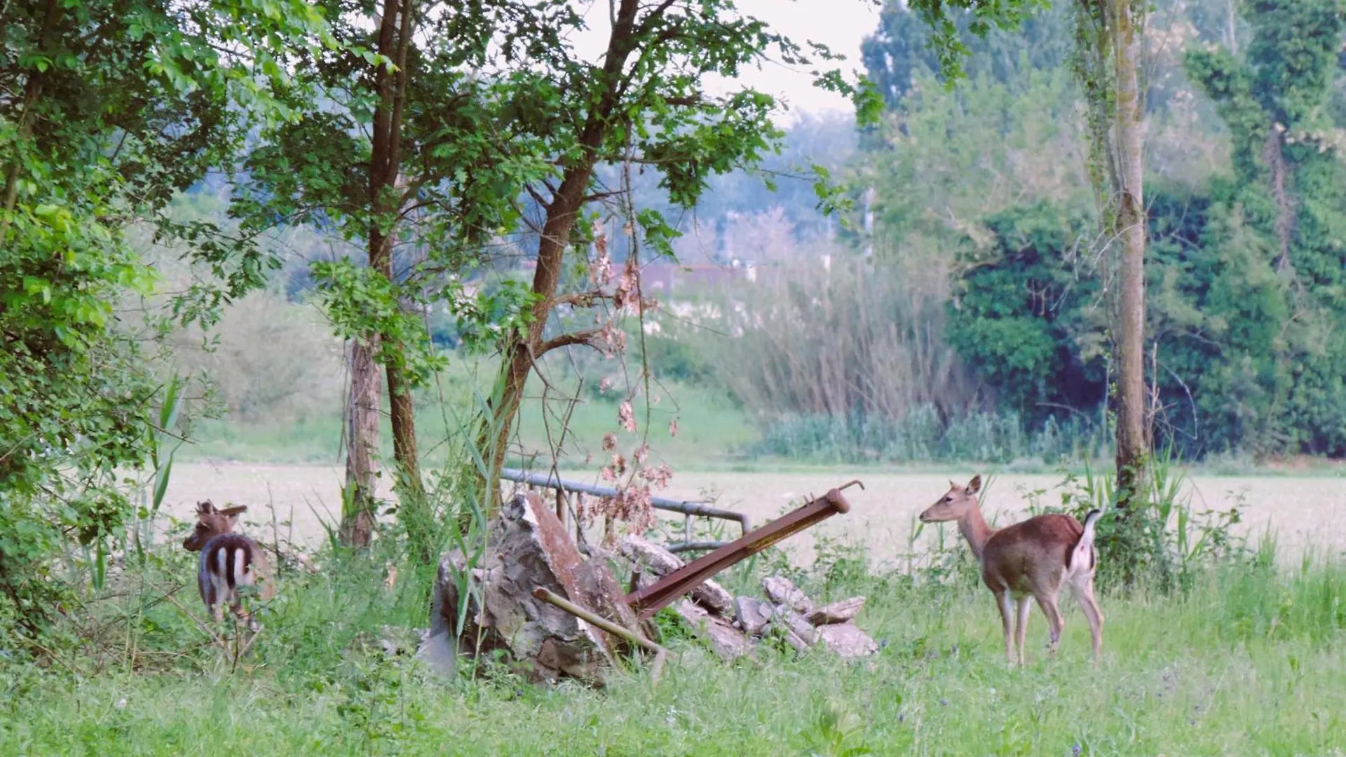 Agriturismo Valle Isola 